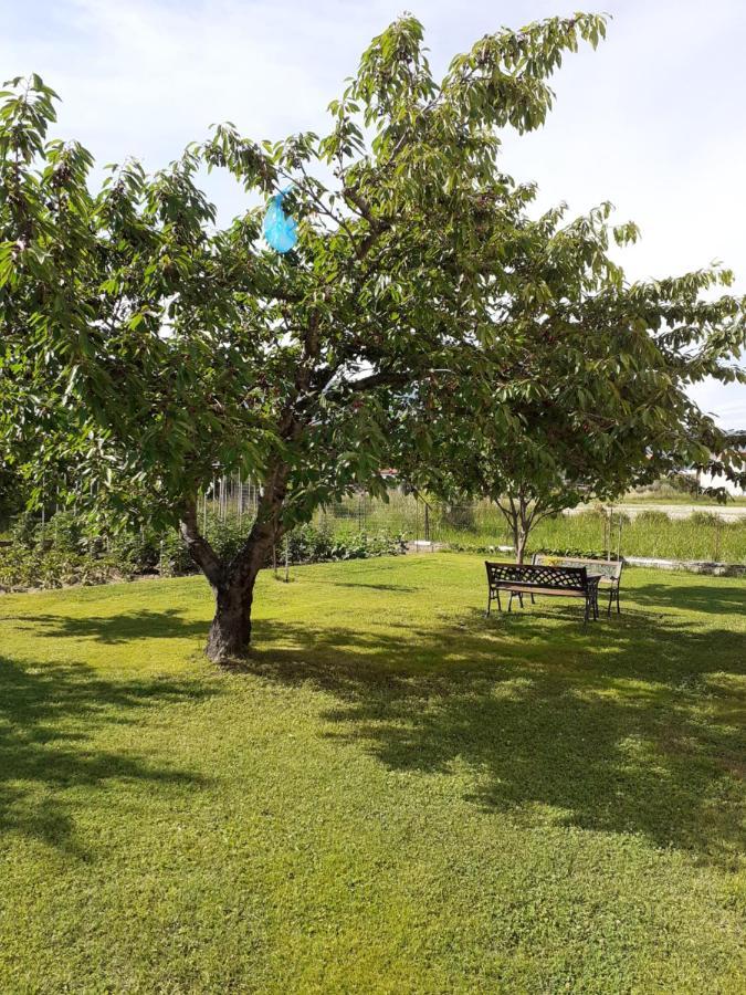 Vrasná Chrysafis Apartments מראה חיצוני תמונה